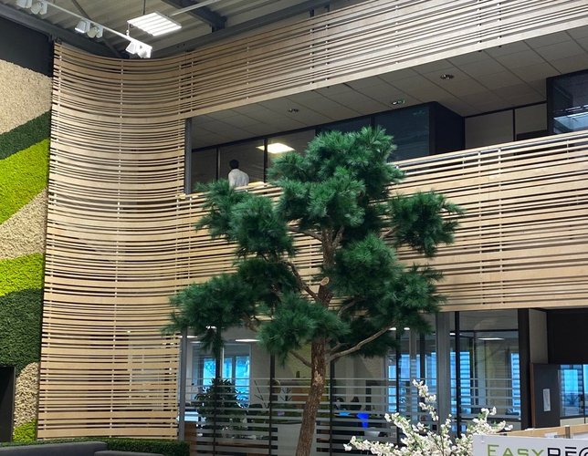 Създаваме следващото поколение шампиони