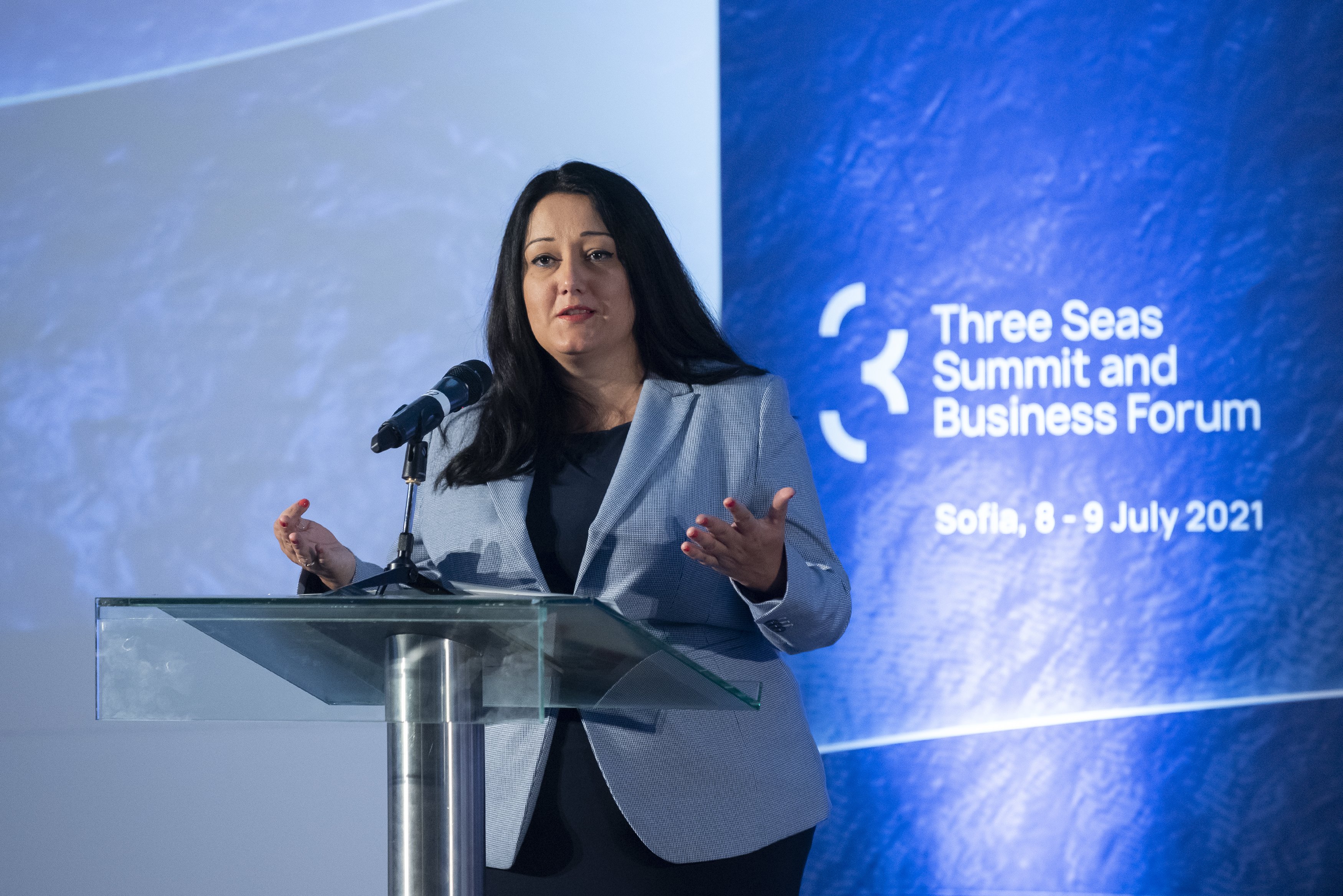 BDB hosted investment panel within Three Seas Forum