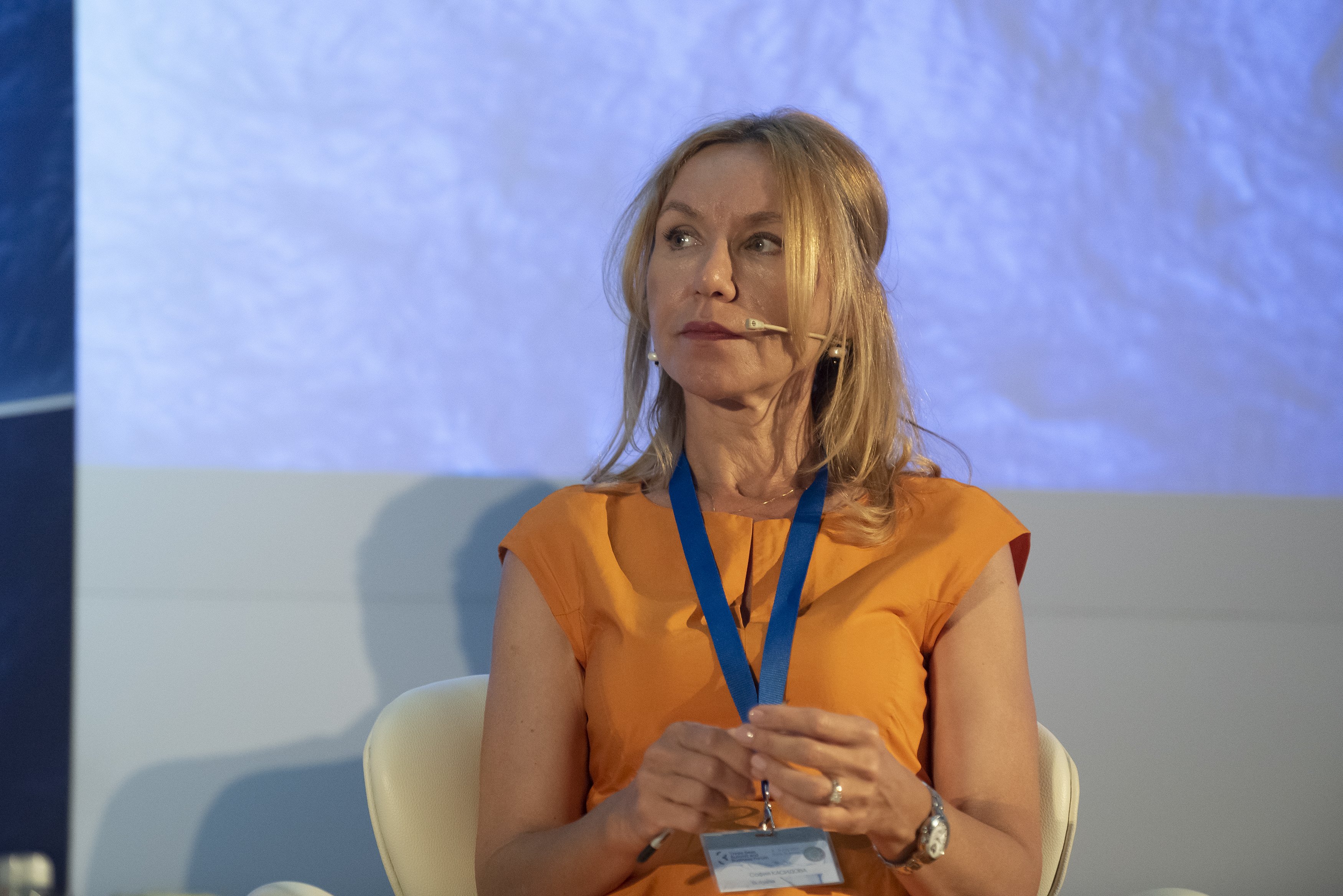 BDB hosted investment panel within Three Seas Forum