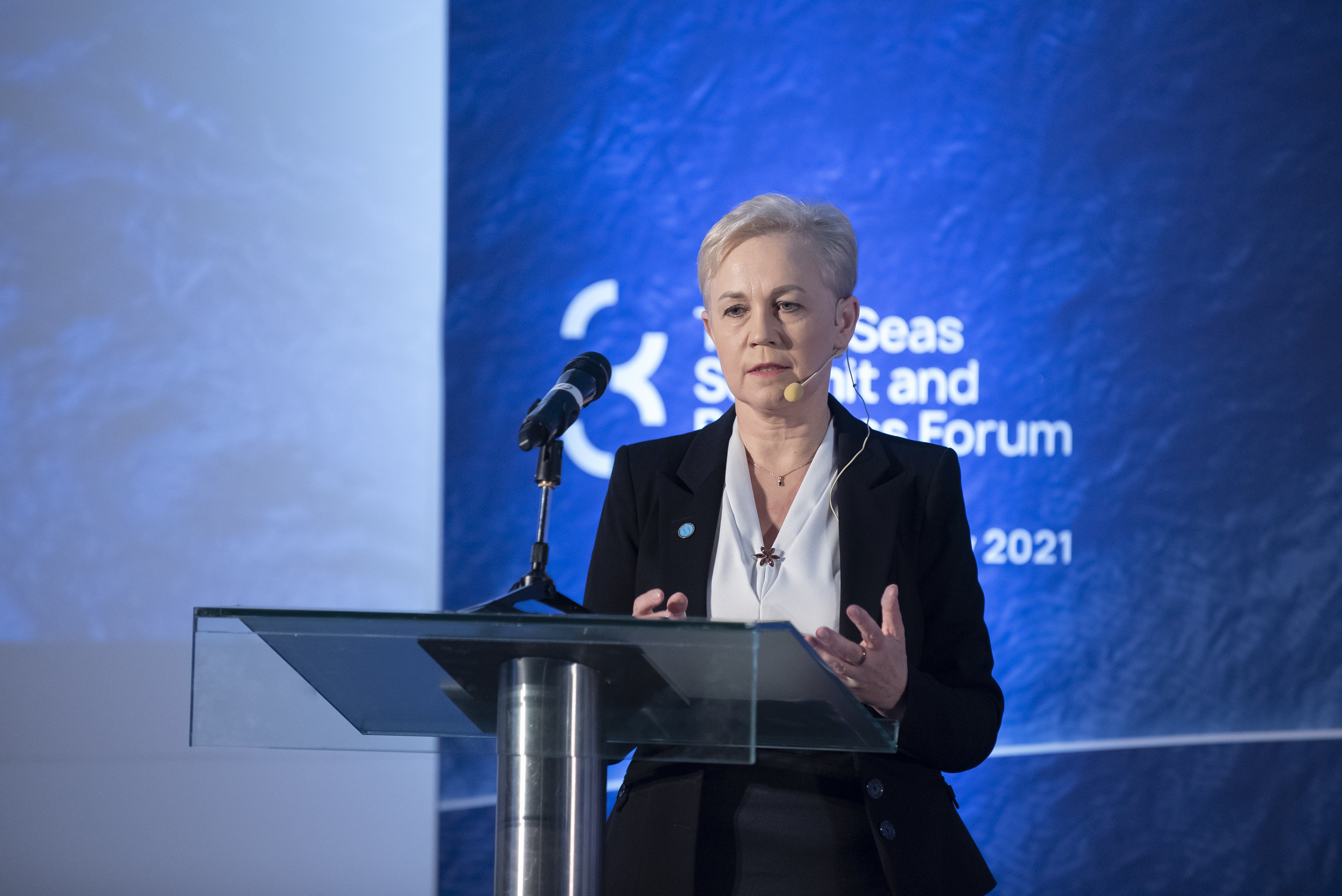 BDB hosted investment panel within Three Seas Forum